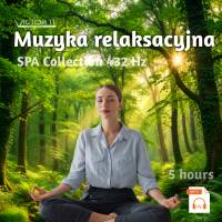 Relaksacyjna Muzyka bez Opłat 5 godzin mp3